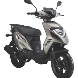 KSR Pandora gray copy